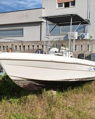 Saver 540 DC Mercury 40/70 Pro  36 ore di moto