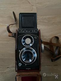 Halma 44