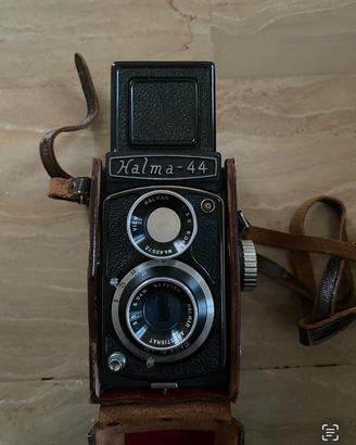 Halma 44