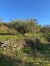 terreno-di-5600-m²-a-montemurlo