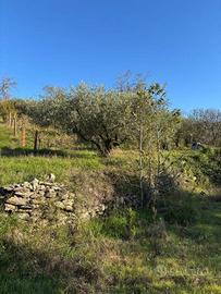 Terreno di 5600 m² a Montemurlo