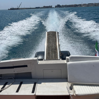 Barca a motore