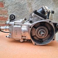 Motore Polini minimoto (midi) a liquido