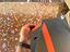 Immagine 3