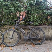 Bici pedalata assistita cannondale kinneto