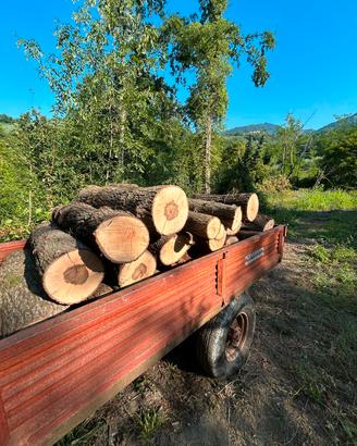 Legna lunga quercia