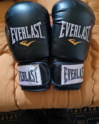 Guantoni da Boxe Everlast Ta:10 + corda 
