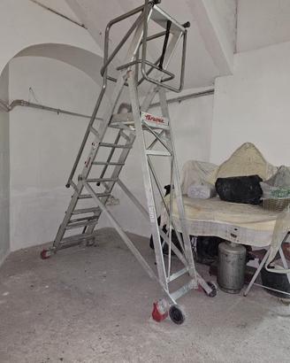 scala faraone professionale
