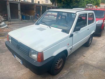 fiat panda young 