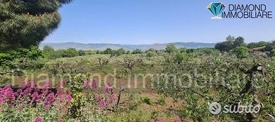 Terreno agricolo 3.200mq zona doc a castiglione