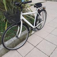 Cyty Bike misura 28.