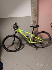 MTB diametro 26