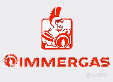 schede immergas