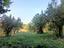Immagine 15