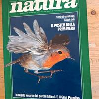 Rivista Oggi Natura aprile 1986 uccelli poster