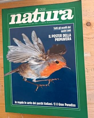 Rivista Oggi Natura aprile 1986 uccelli poster