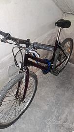 Mountain Bike donna