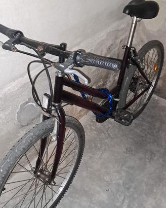 Mountain Bike donna