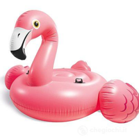 Gonfiabile fenicottero