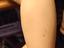 Immagine 5