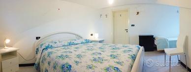 Disponibilità 1/15 agosto Pineto
