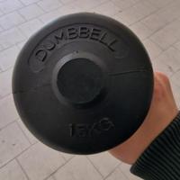 Pesi Dumbbell 15 kg