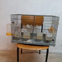 Gabbia da cova  per uccelli 