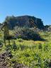 ruderi-con-terreno-a-pantelleria-cuddia-bruciata