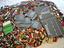 Immagine 5