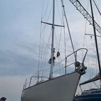 Barca a vela, natante