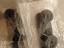 Immagine 2