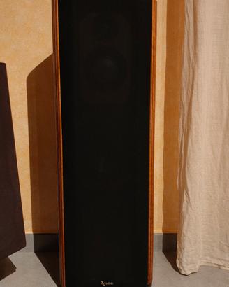 casse Infinity k7.1