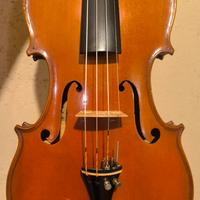 Violino