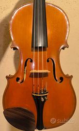 Violino