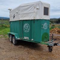 trailer trasporto 2 cavalli
