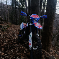 Beta RR factory 50 - 2010