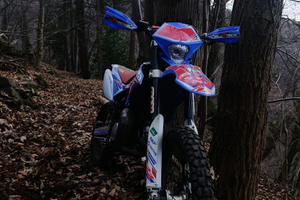 Beta RR factory 50 - 2010