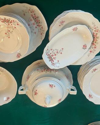 Servizio Piatti 41 Pezzi Porcellana Baviera Bareut