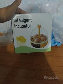 Vndo in cubator