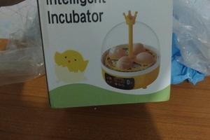Vndo in cubator