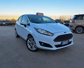 Ford Fiesta 1.5 TDCi 75CV 5 porte Titanium - 2013