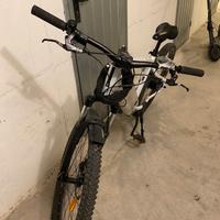 bici pedalata assistita