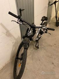 bici pedalata assistita