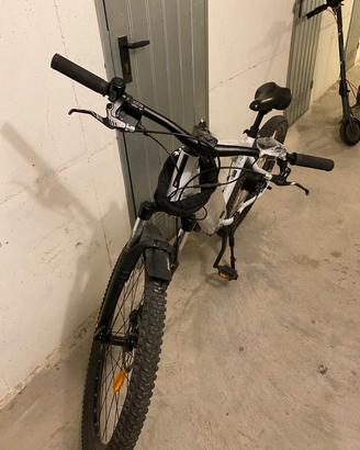 bici pedalata assistita