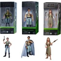 Star Wars Return Of the Jedi 3 Figure Black Series