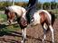 Immagine 5