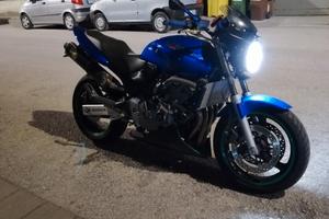 hornet 600 