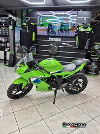 kawasaki ninja 125