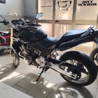 Honda Hornet 600