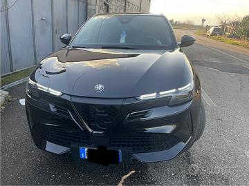 Alfa junior giugno 2025